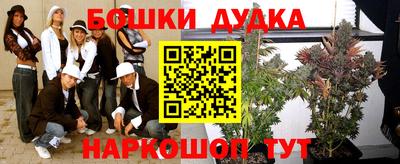 прущие крисы Северобайкальск