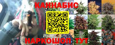 тгк Севастополь