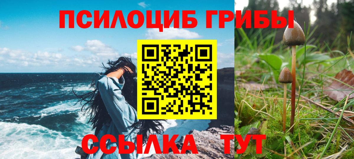 Галлюциногенные грибы Magic Shrooms  Вход с VPN  где купить наркоту  Семёнов  Псилоцибиновые грибы MAGIC MUSHROOMS 