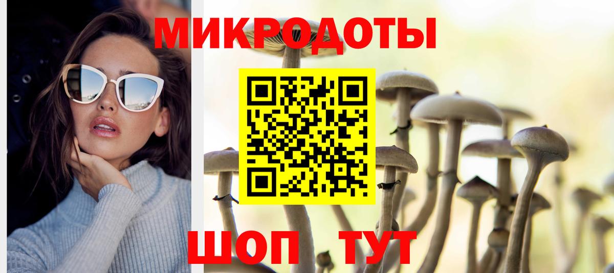 Псилоцибиновые грибы Psilocybe Семёнов